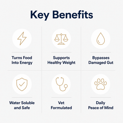 PetLovies Vitamin B12 Drops