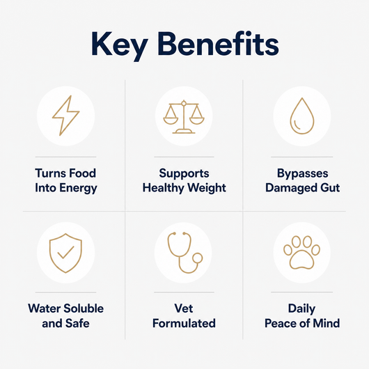 PetLovies Vitamin B12 Drops