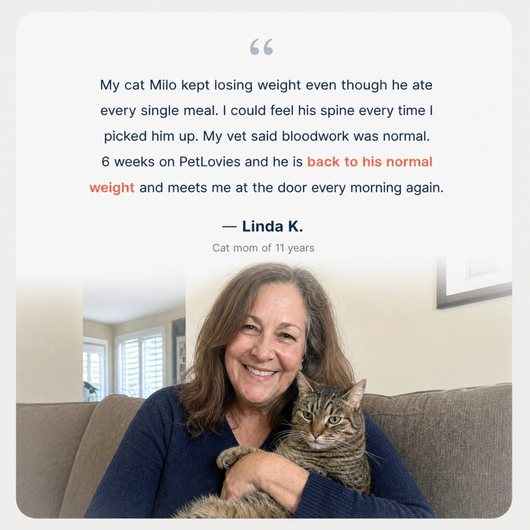 PetLovies Vitamin B12 Drops